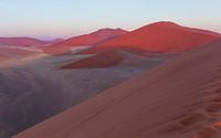 Das letzte Licht auf den roten Sandhügeln von Sossusvlei