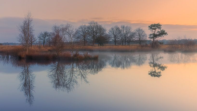 Sonnenaufgang im Dwingelderveld National Park von Henk Meijer Photography