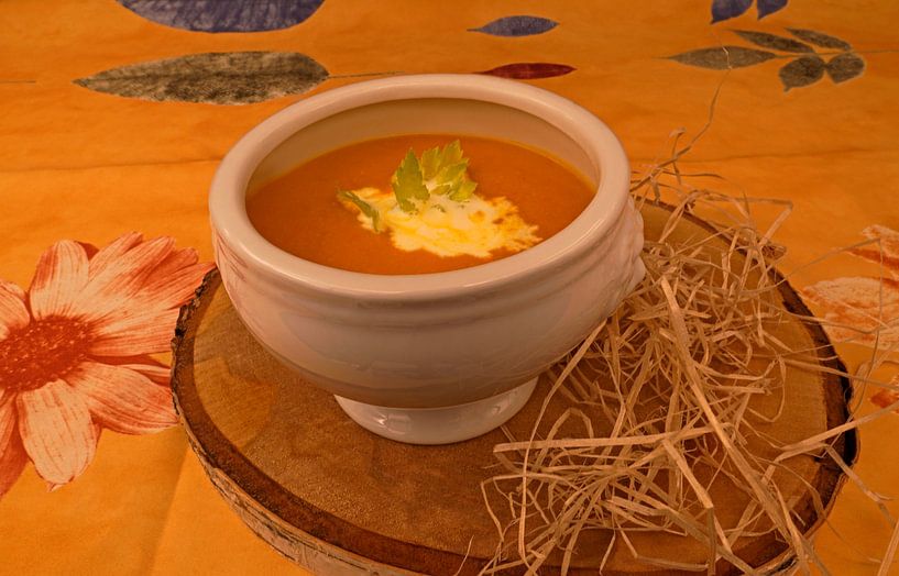 klassische Kürbiscremesuppe mit Kürbiskernen, serviert in einer Suppentasse von Babetts Bildergalerie