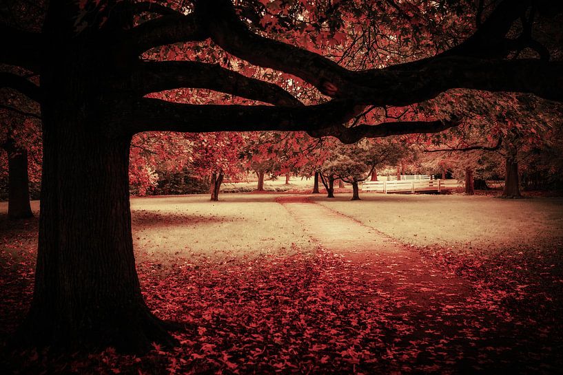 Wood Framing par Cho Tang