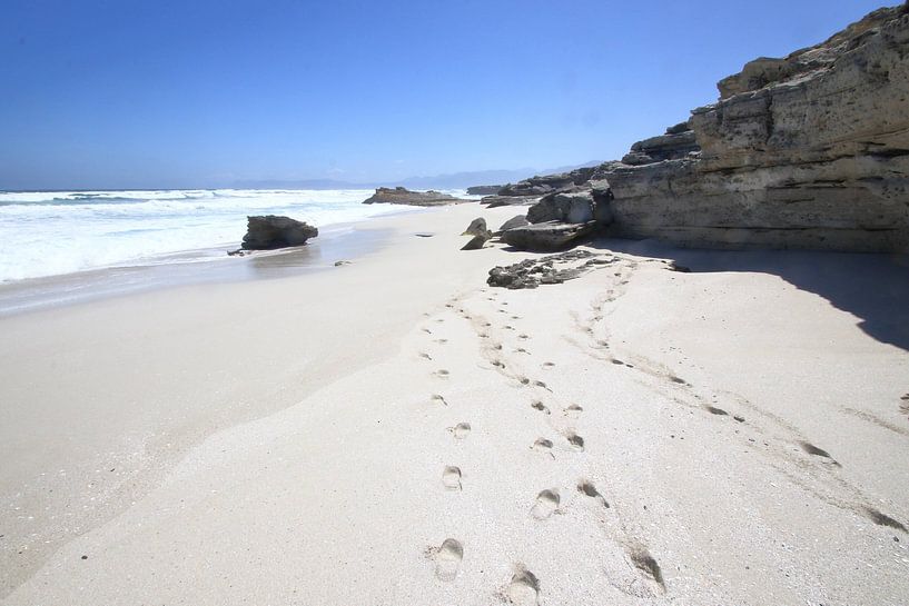 Beach South Africa by Petervanderlecq