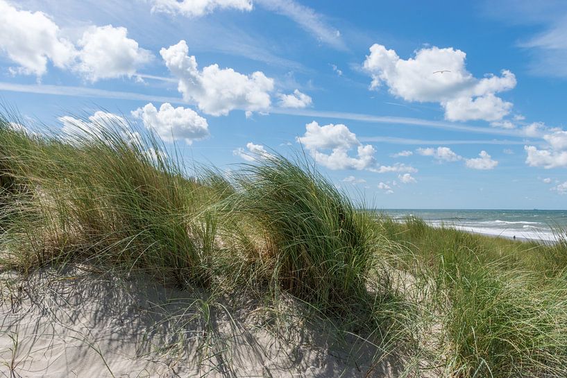 Ramasser l'herbe sur une dune par Patrick Verhoef