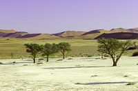 Dodevlei_3, sesriem Namibie
