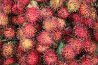 Rambutan