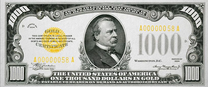 1000 Dollar Bill by Rene Ladenius Digital Art