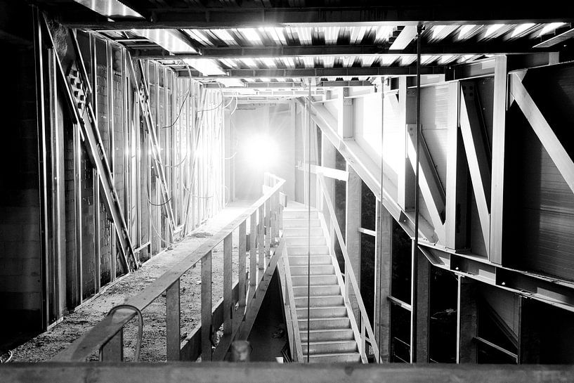 Grober Bau der Dame von Wolf Schouten