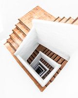 Tenerife, Jardin Tropical XXVIII