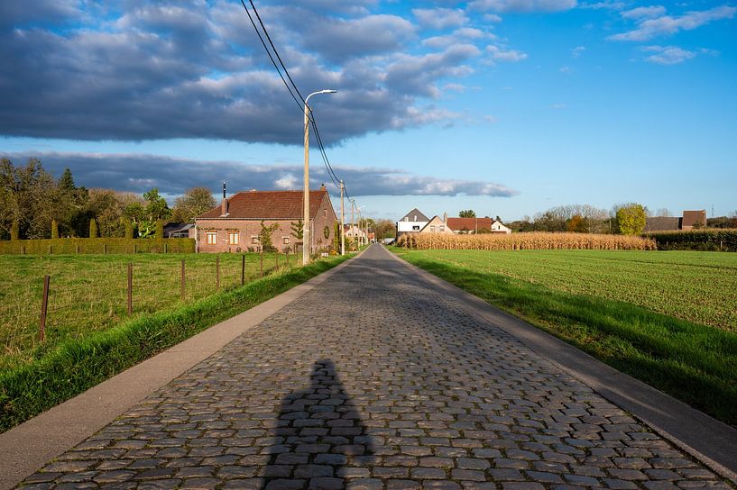 Des pavés dans la campagne par Werner Lerooy