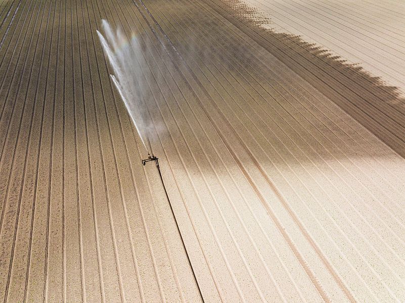 Machine d'irrigation à pivot pulvérisant de l'eau sur un champ pendant un été sec. par Sjoerd van der Wal Photographie