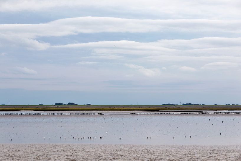 Küste.. von Miranda van Hulst