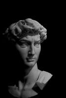 Michelangelos David: Ein ikonisches Meisterwerk in Schwarz und Weiß