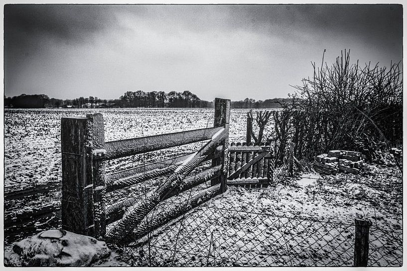Fence by Freddy Hoevers