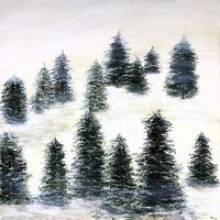 Fir forest