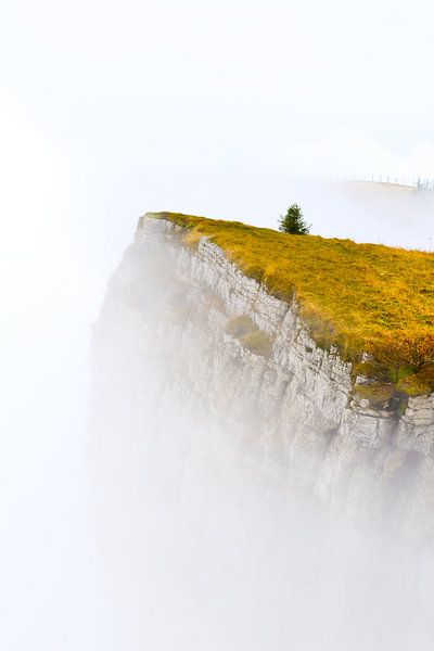 Brouillard de montagne par Arjen Delmeer
