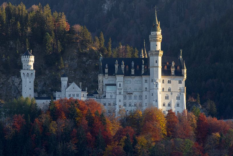 S c h l o ߟ Neuschwanstein von Andreas Stach