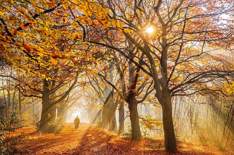 Nebliger Herbsttag von Niels  de Vries