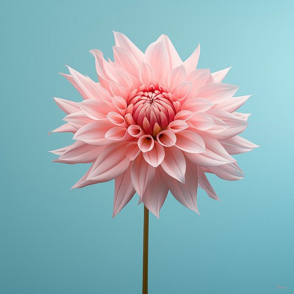Dahlia en rose par Lauri Creates