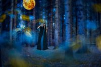 Beautiful young woman in a dark forest under the full moon
