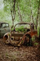 Autofriedhof Bastnäs Schweden, alter volkswagen käfer