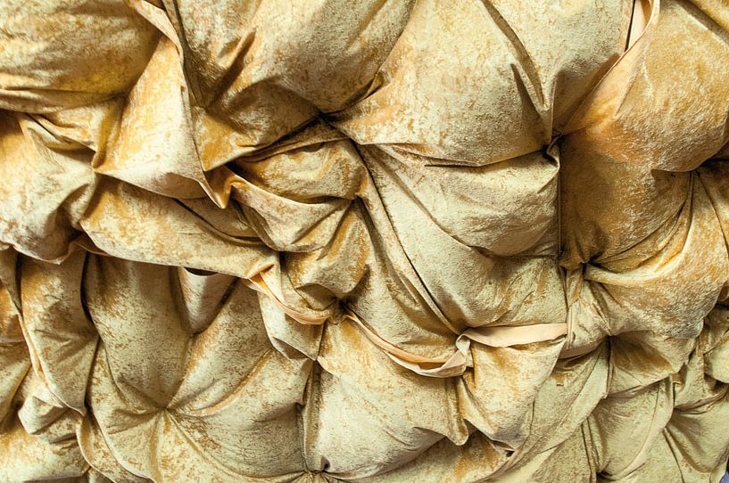 roll over lay down by jada fotografie