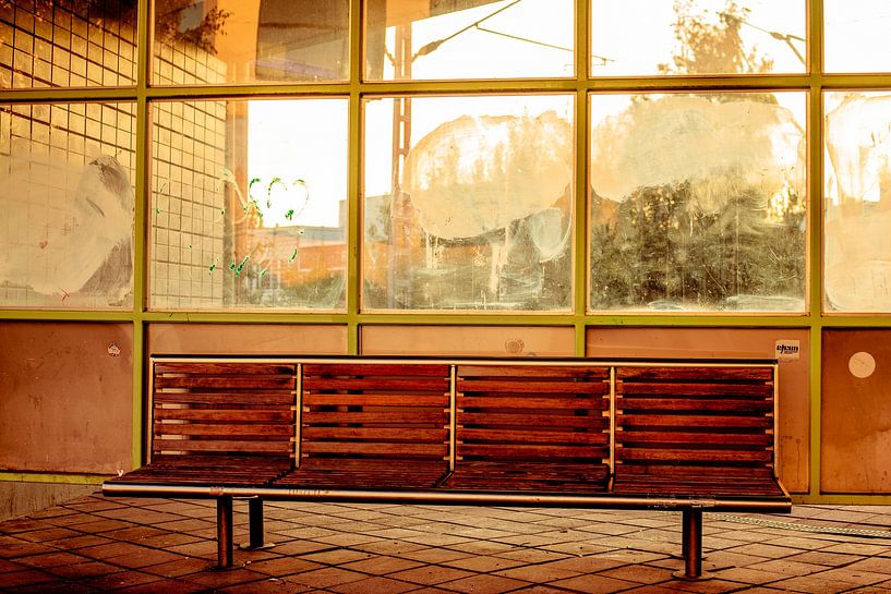Waiting Bench in Golden Light – Station Grid Windows by Brave Toaster Photography