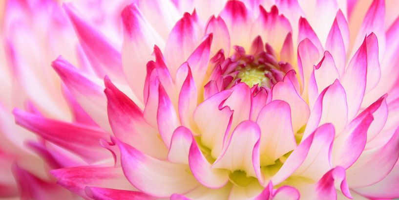 In flames by Ellinor Creation