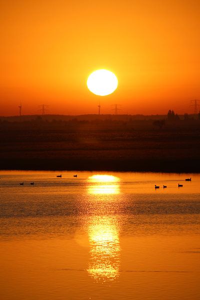 Zonsopkomst boven de Oostvaardersplassen by Clicksby JB
