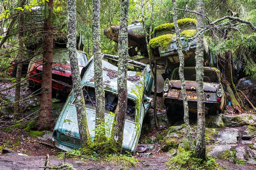 Can't see the forest through the car wrecks, it's possible in Bastnas by Evert Jan Luchies