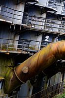 Braunes Rohr in vielen Farbtönen