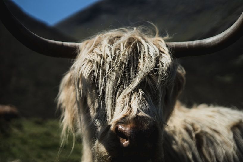 Portrait of a Scottish Highlander by Niels Eric Fotografie