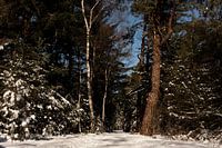 Eine niedrige Perspektive mit einer schönen Aussicht