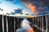 Têtes de pioche Domburg