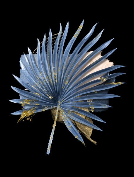 Gold &amp; Blue - on Black par Marja van den Hurk