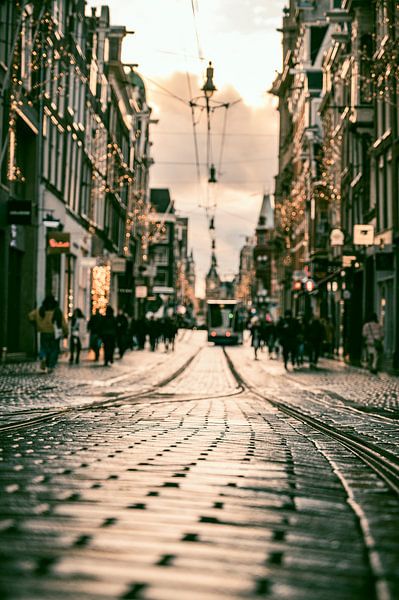 La rue commerçante Leidsestraat d'Amsterdam lors d'une journée d'hiver maussade par Sjoerd van der Wal Photographie