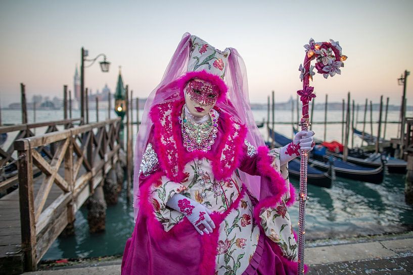 Rosarotes Kostüm beim Karneval in Venedig von t.ART