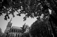 Parade 's-Hertogenbosch Black and White