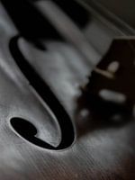Violon Closeup 04 | Image