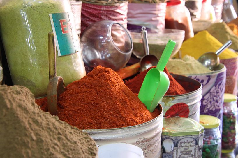 The herbs of Morocco by Jan Katuin