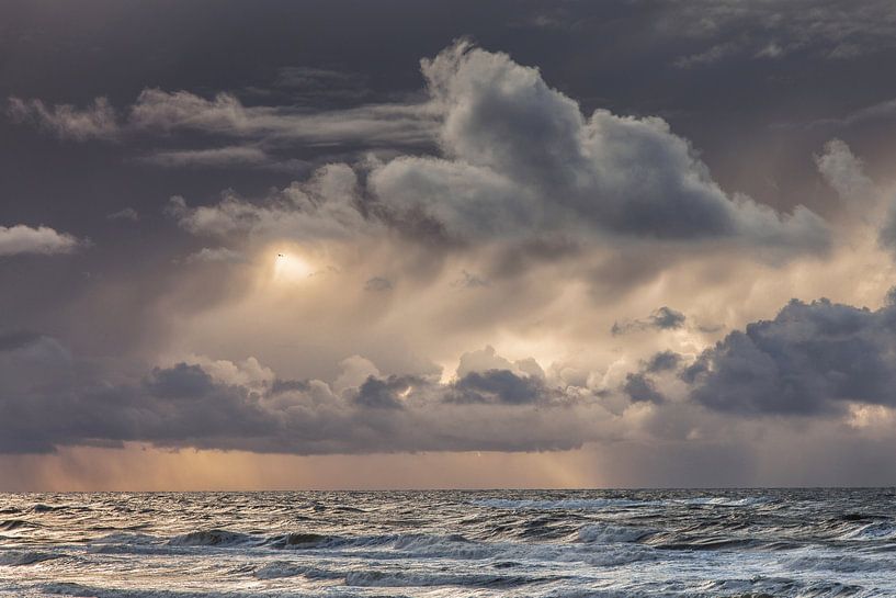 Texel by Martijn Schruijer