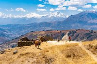 In Peru trennt sich die Spreu vom Weizen