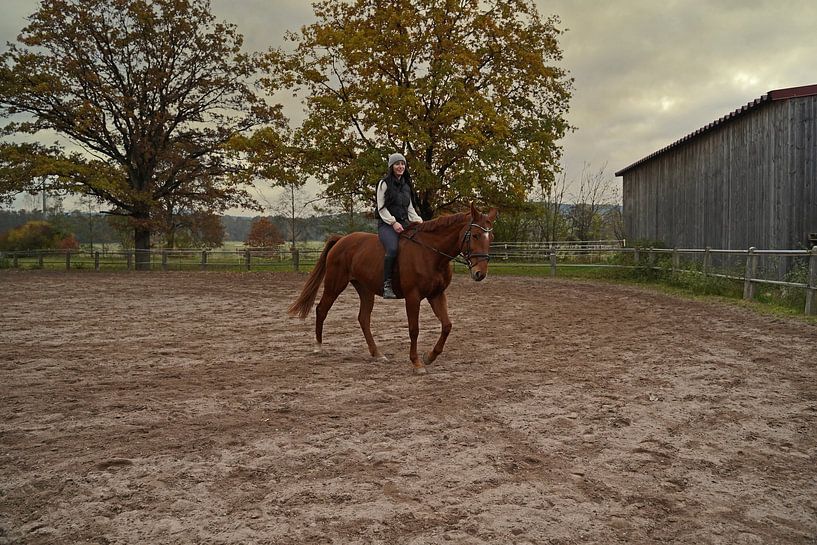 Training mit der rotbraunen Oldenburger Stute auf einem Reitplatz von Babetts Bildergalerie