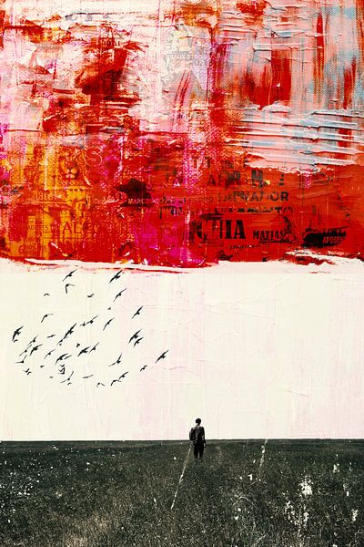 Ein Spaziergang in einem Feld von MDRN HOME