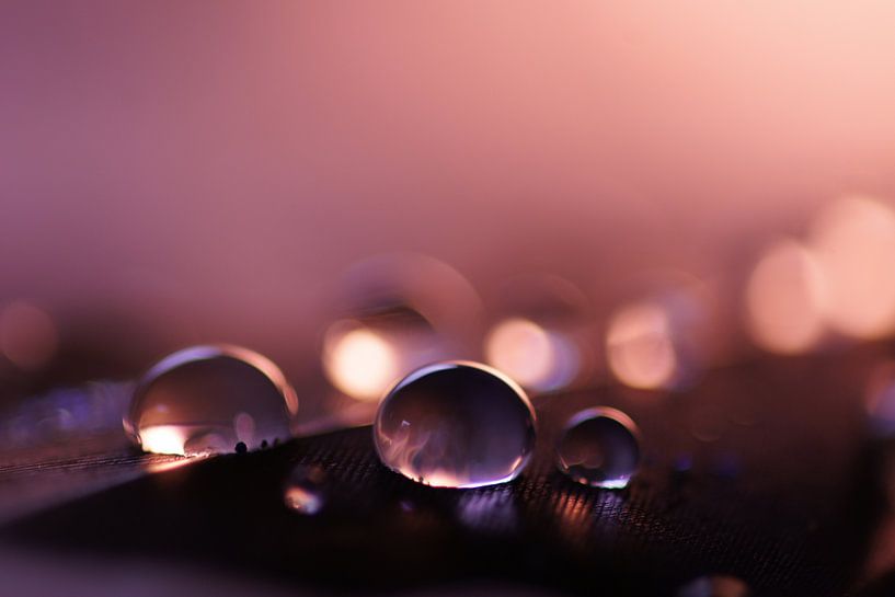 Purple drops by Carla Mesken-Dijkhoff