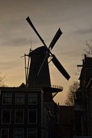 Moulin à vent De Walvisch à Schiedam