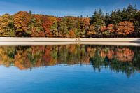 Le paysage aux couleurs de l'automne se reflète dans l'eau de la rivière.