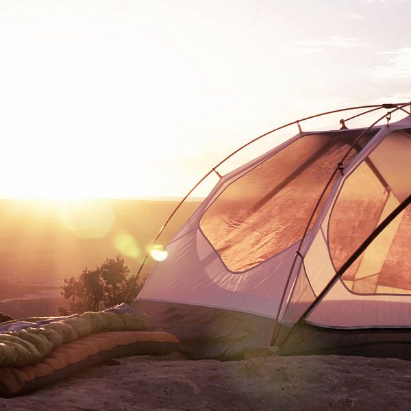 Kuss der Sonne II von Mad Dog Art