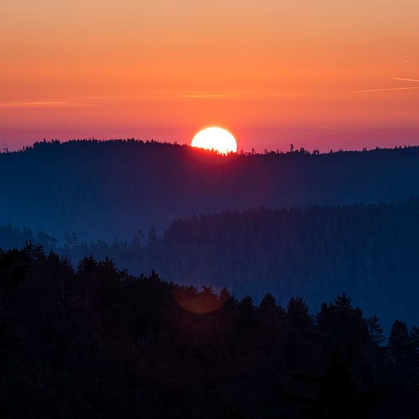 The Black Forest, Germany by Marieke Feenstra