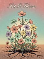 Floraison du désert