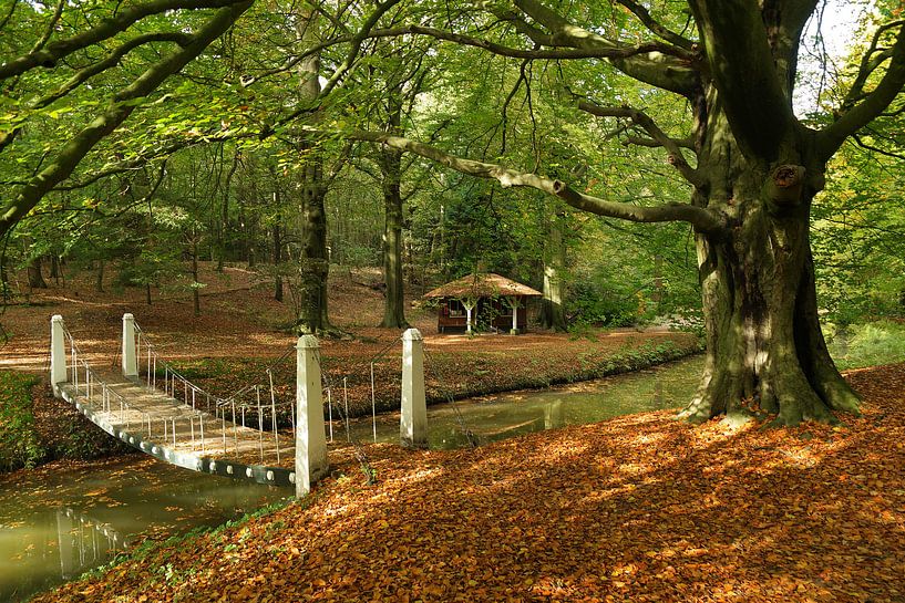 Herfst, Autumn von Yvonne Balvers
