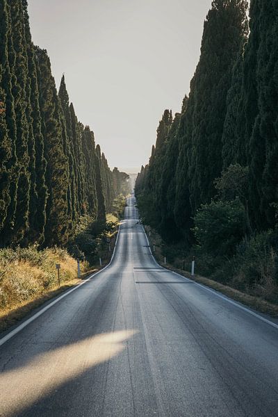 Bolgheri 2020 von Stefan Lucassen